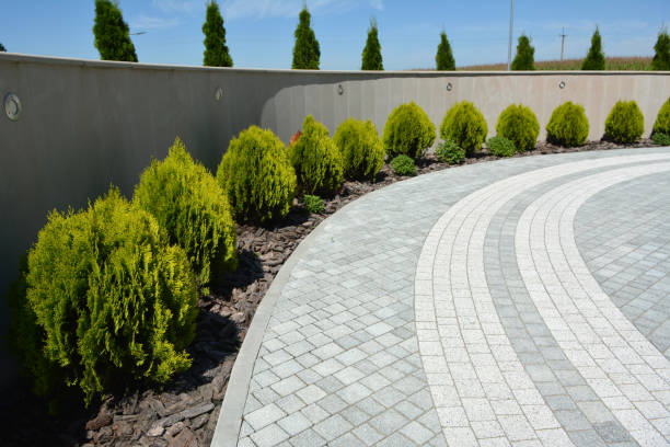 Best Local Driveway Pavers  in Mila Doce, TX